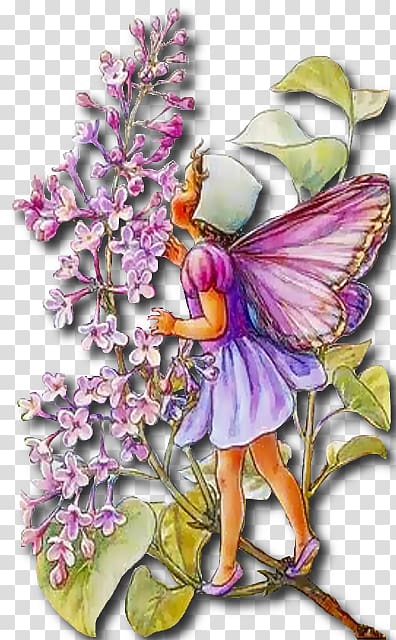 Fairy Wish Flower Fairies Elf Fantastic art, Fairy transparent background PNG clipart