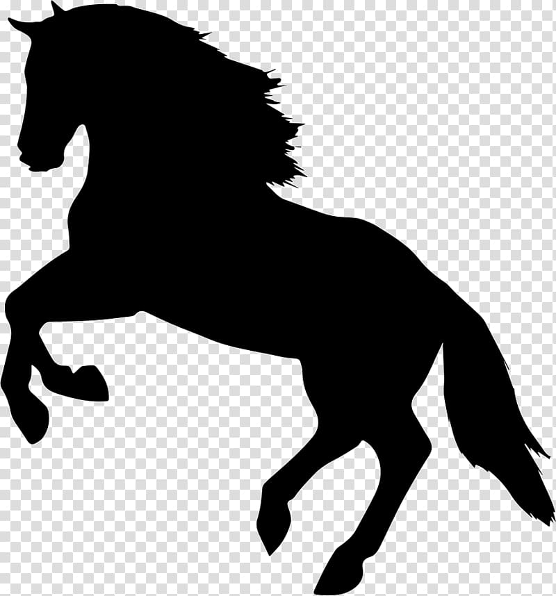 French Trotter Silhouette Equestrian, Silhouette transparent background PNG clipart