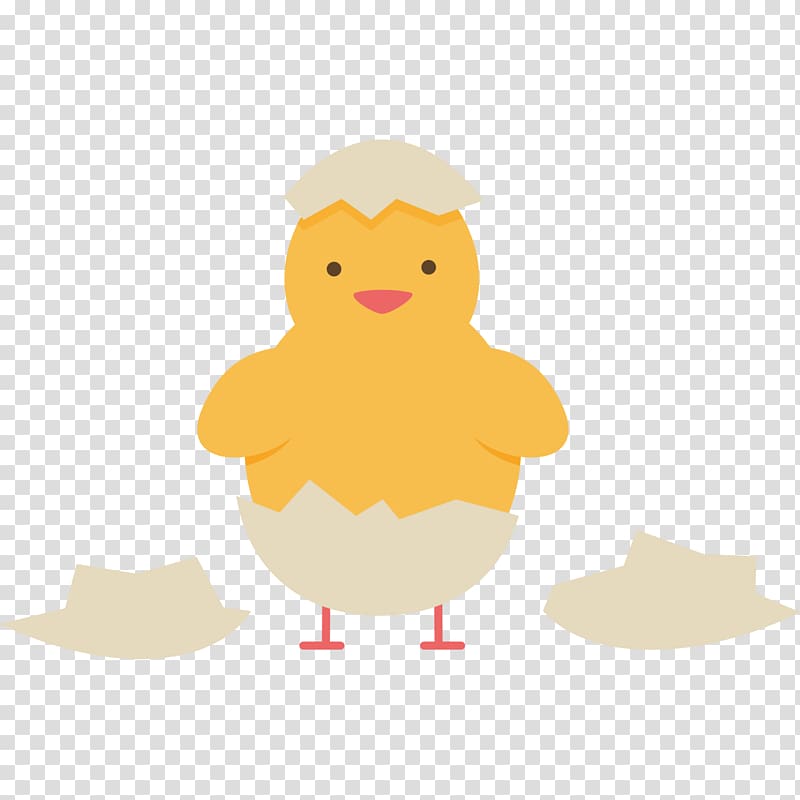 Chicken Duck , Chick clothing patterns transparent background PNG clipart