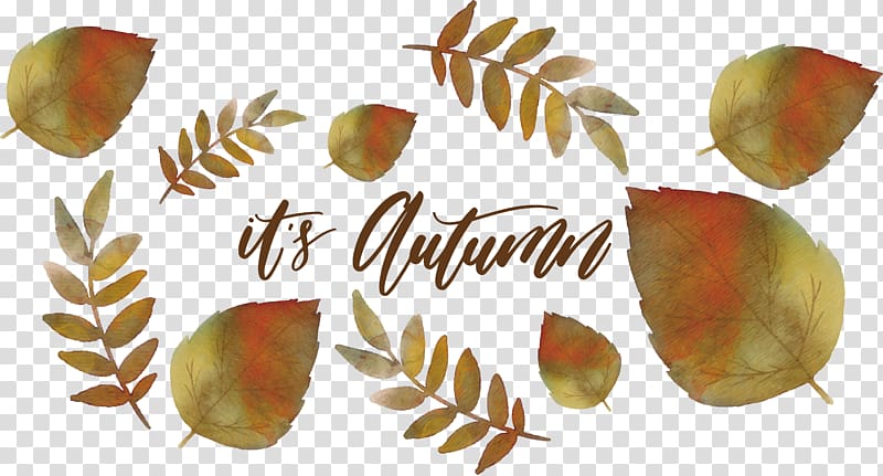 Watercolor painting Leaf Autumn Deciduous, Watercolor autumn leaves transparent background PNG clipart