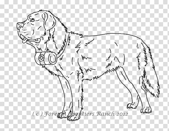 St. Bernard Puppy Drawing Coloring book Czechoslovakian Wolfdog, Tibetan Mastiff transparent background PNG clipart