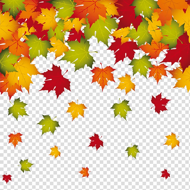 green, red, and orange maple leaves illustration, Autumn leaf color , Fall Leaves Decoration transparent background PNG clipart