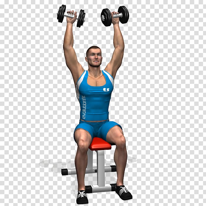 Weight training Dumbbell Exercise Overhead press Fly, dumbbell transparent background PNG clipart