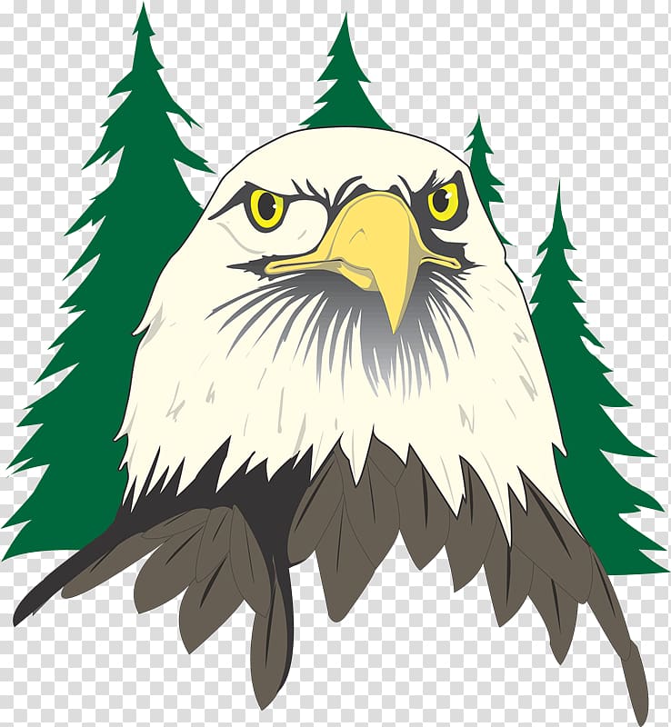 River Eves Elementary School Eagle River Elementary School East Orient Elementary School, Ek transparent background PNG clipart