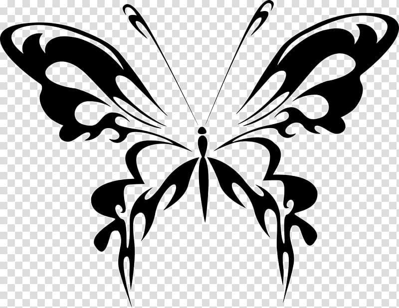 Butterfly Line art , Fairy Silhouette transparent background PNG clipart