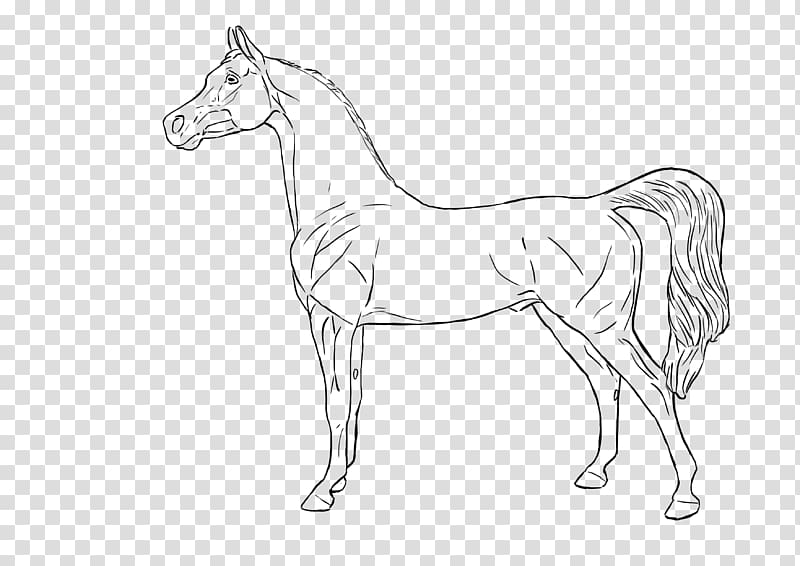 Foal Bridle Mane Model horse Mustang, Arabian Horse transparent background PNG clipart