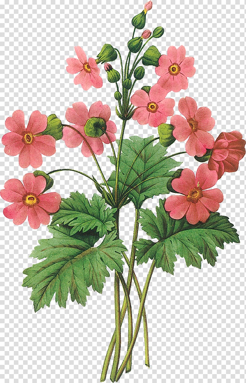 pink flowers illustration, Art Interior Design Services Poster Printmaking Wall, botanical flowers transparent background PNG clipart
