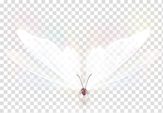 insect with white wings illustration, Pink Pattern, Fantasy Butterfly luminous transparent background PNG clipart