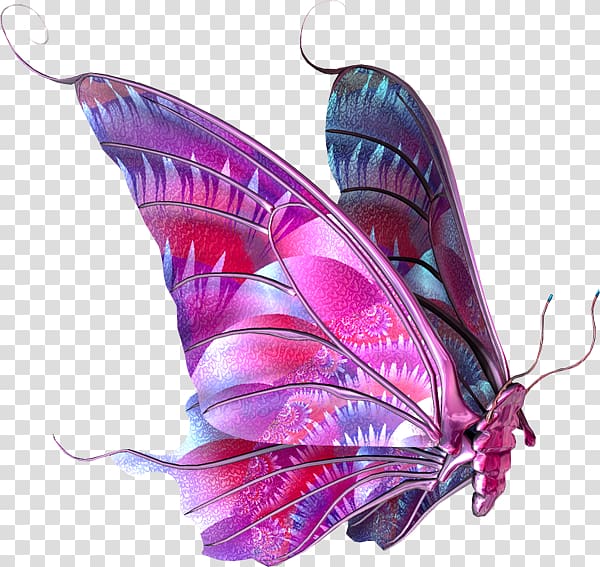 pink and purple butterfly illustration, Butterfly , Butterfly transparent background PNG clipart