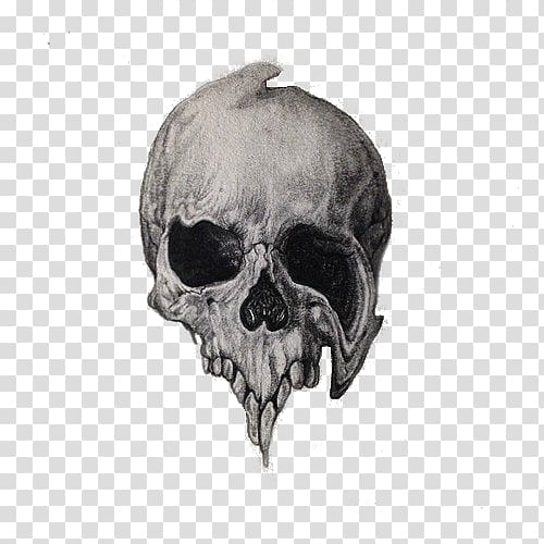 Skull Drawing Doodle Calavera, skull transparent background PNG clipart