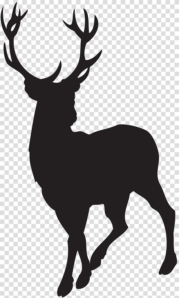 Deer , deer transparent background PNG clipart