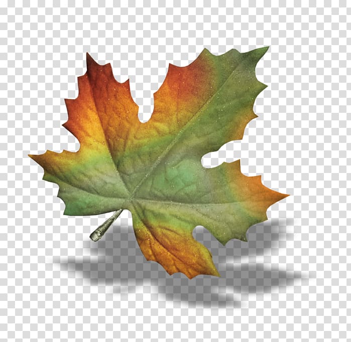 GIF Portable Network Graphics Autumn Drawing, rosin transparent background PNG clipart