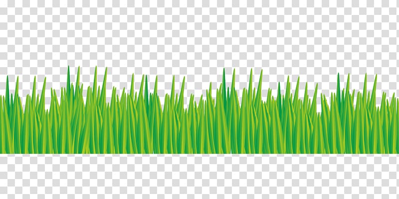 green grass illustration, Meadow Lawn Green Pasture, grass border transparent background PNG clipart