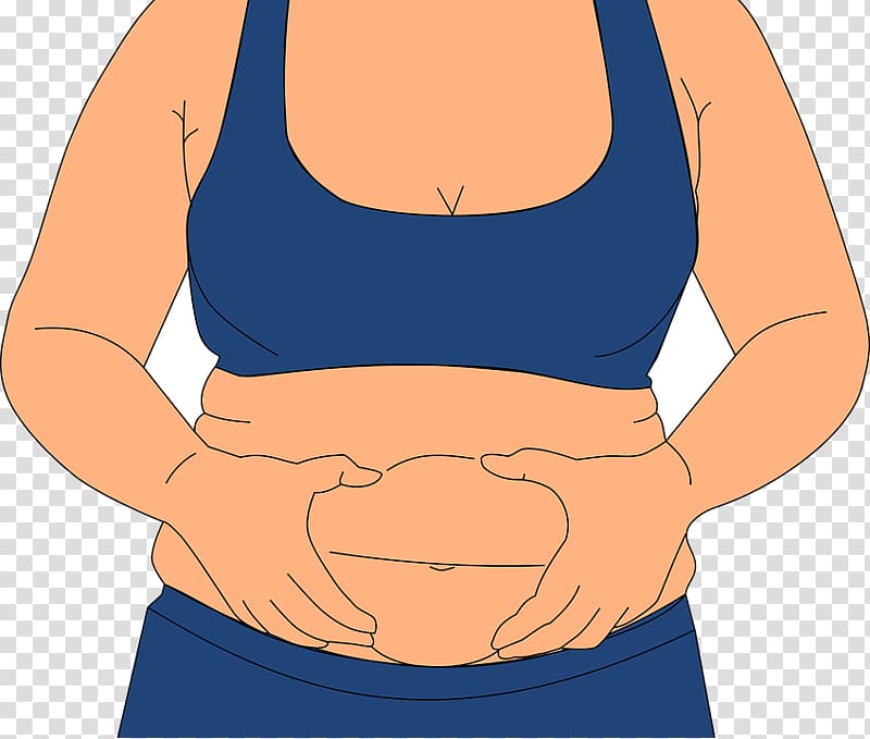 Abdominal obesity Health Diet Weight loss, health transparent background PNG clipart