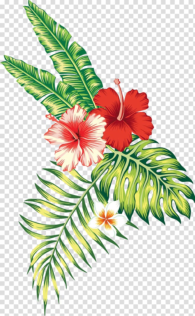 red hibiscus illustration, Tropics Tropical climate Flower, mix flowers transparent background PNG clipart