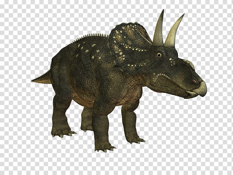 Triceratops Nedoceratops Tyrannosaurus Velociraptor Monoclonius, dinosaur transparent background PNG clipart