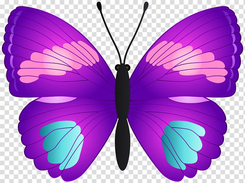 purple, pink, and teal butterfly illustration, Monarch butterfly , Butterfly transparent background PNG clipart