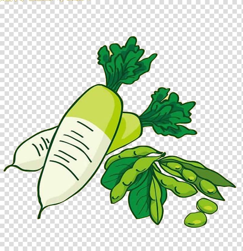 Edamame Vegetable Radish Food Bean, Radish peas transparent background PNG clipart