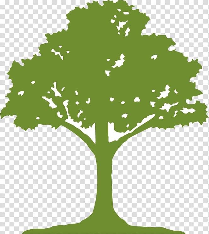 Tree Mikes Clearwater Harvesting Inc. Paper Earth Root, tree transparent background PNG clipart