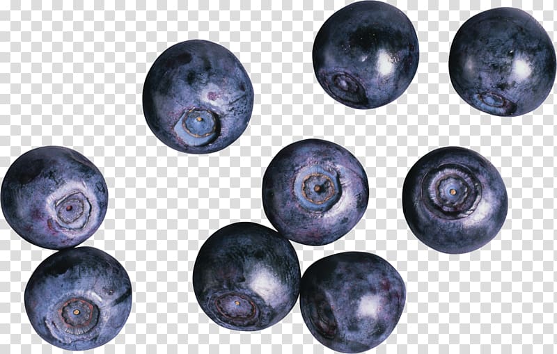 European blueberry Bilberry, Blueberries transparent background PNG clipart