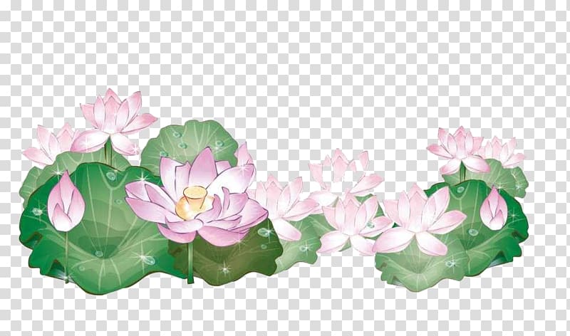 pink lotus flowers , Drawing Water Flower , Jiangnan lotus pattern background material transparent background PNG clipart