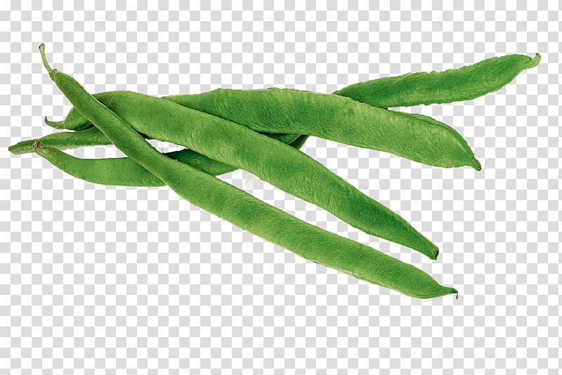 green string beans, Runner Beans transparent background PNG clipart