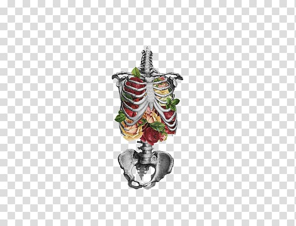 Flower Human skeleton Lung Anatomy Skull, Creative Hand-painted skeleton transparent background PNG clipart