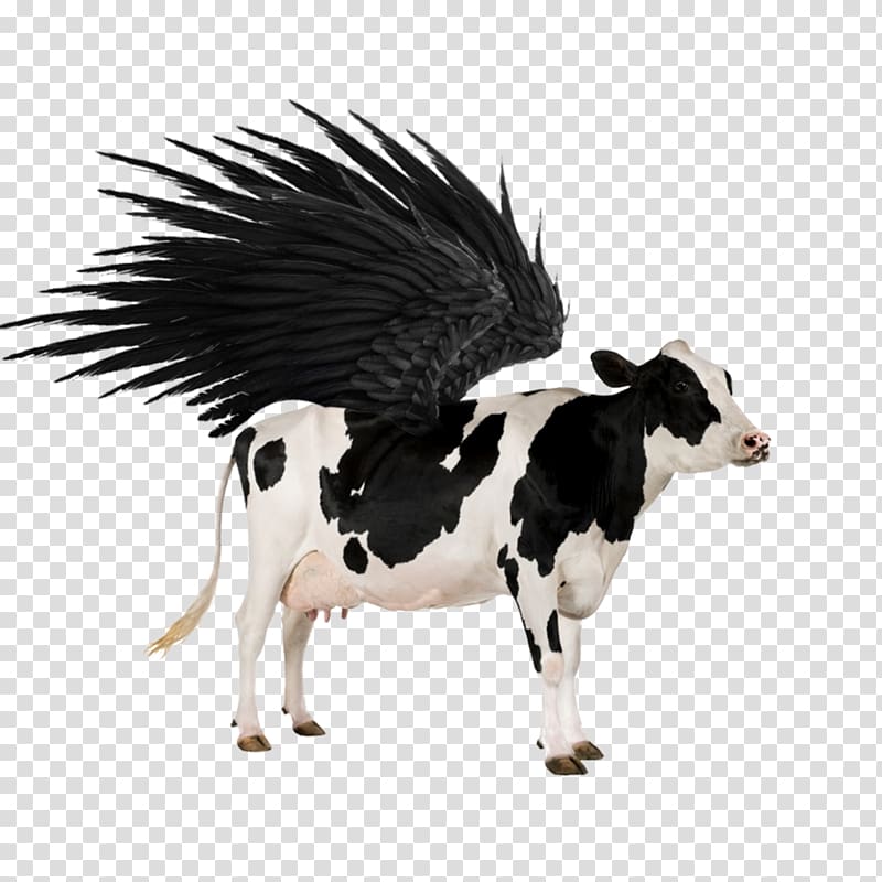 Cattle Chicken Pig Calf Sheep, cow transparent background PNG clipart