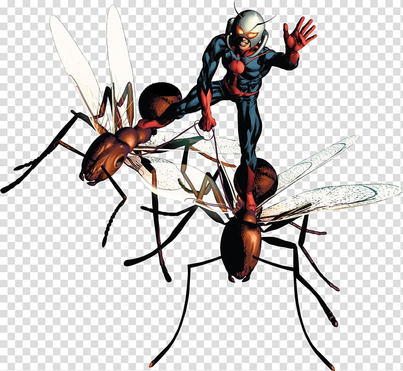 Ant-Man Display resolution, ant transparent background PNG clipart