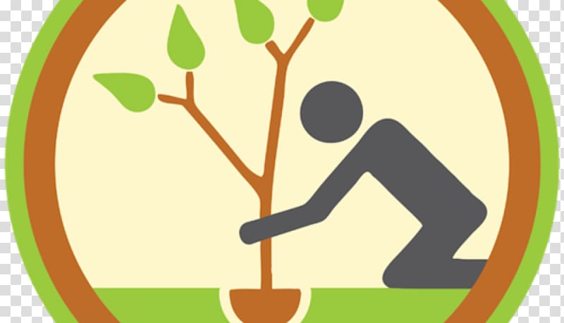 Tree planting Sowing , orchard background transparent background PNG clipart