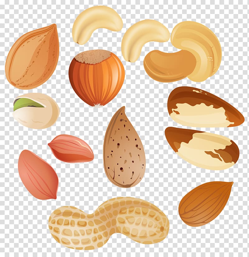 assorted nuts illustration, Nucule Tree nut allergy , Nuts Clipar transparent background PNG clipart