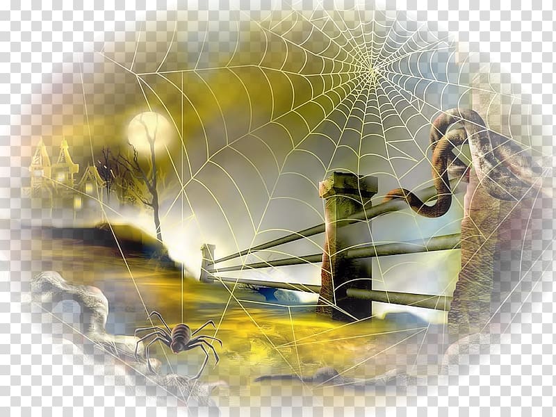 Spider web Halloween Desktop , sfondi transparent background PNG clipart