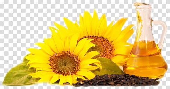 Sunflower oil transparent background PNG clipart