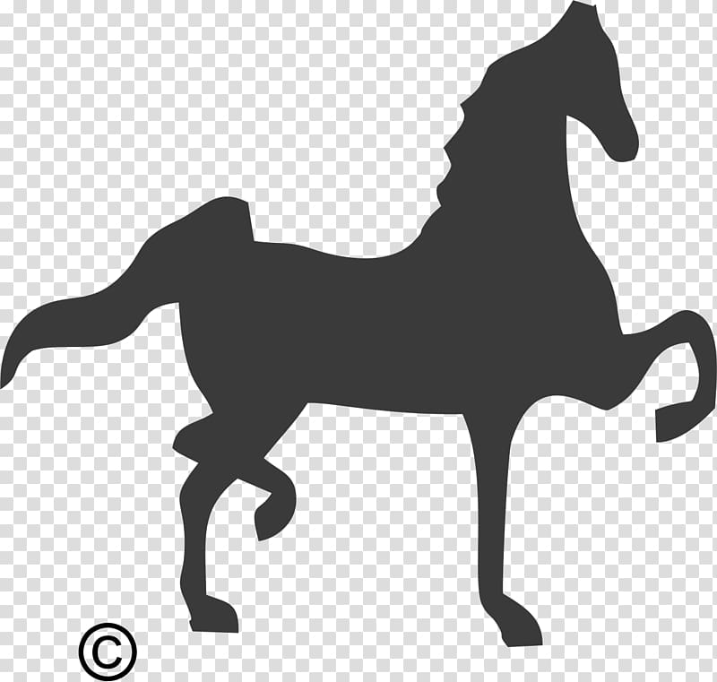 Mustang Spotted Saddle Horse American Saddlebred South Africa Percheron, mustang transparent background PNG clipart