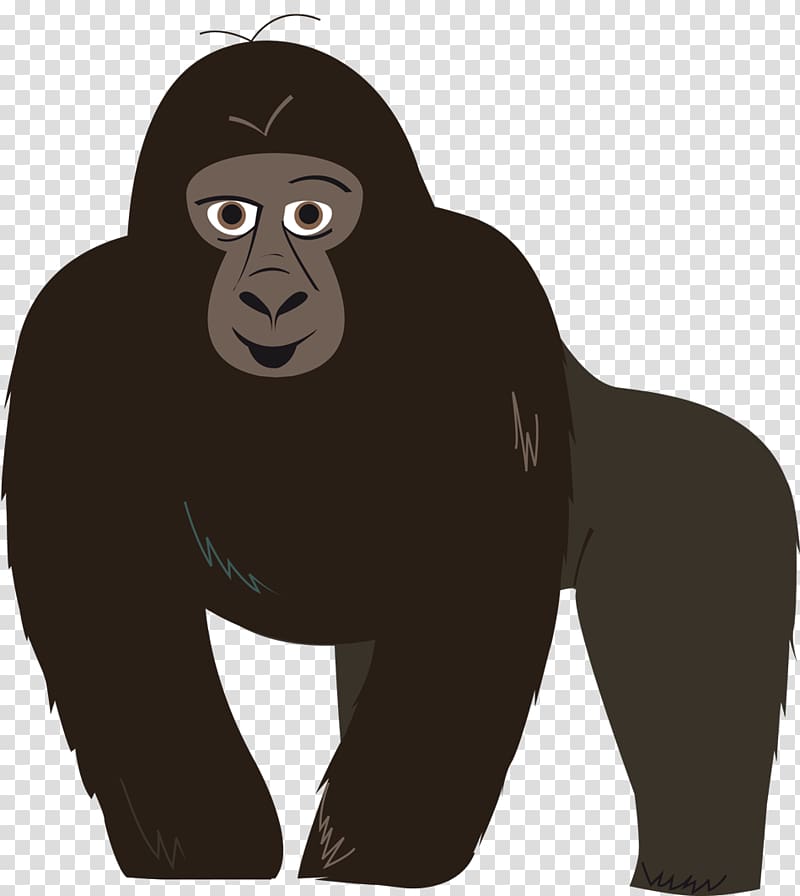 Western gorilla MP3 Eurasian lynx Homo sapiens, others transparent background PNG clipart