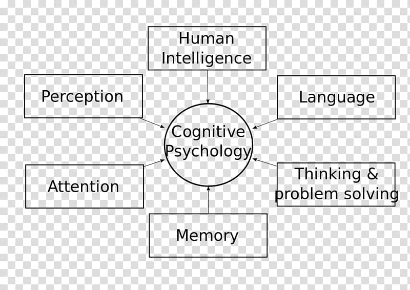 Cognitive Psychology: Connecting Mind, Research and Everyday Experience Cognition Psicologia Y Vida, others transparent background PNG clipart