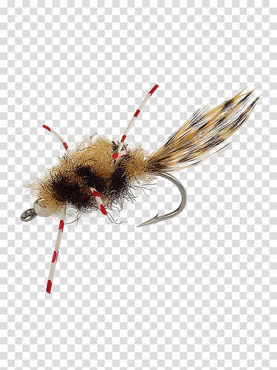 Artificial fly Hackles Fly fishing, Holly Flies transparent background PNG  clipart