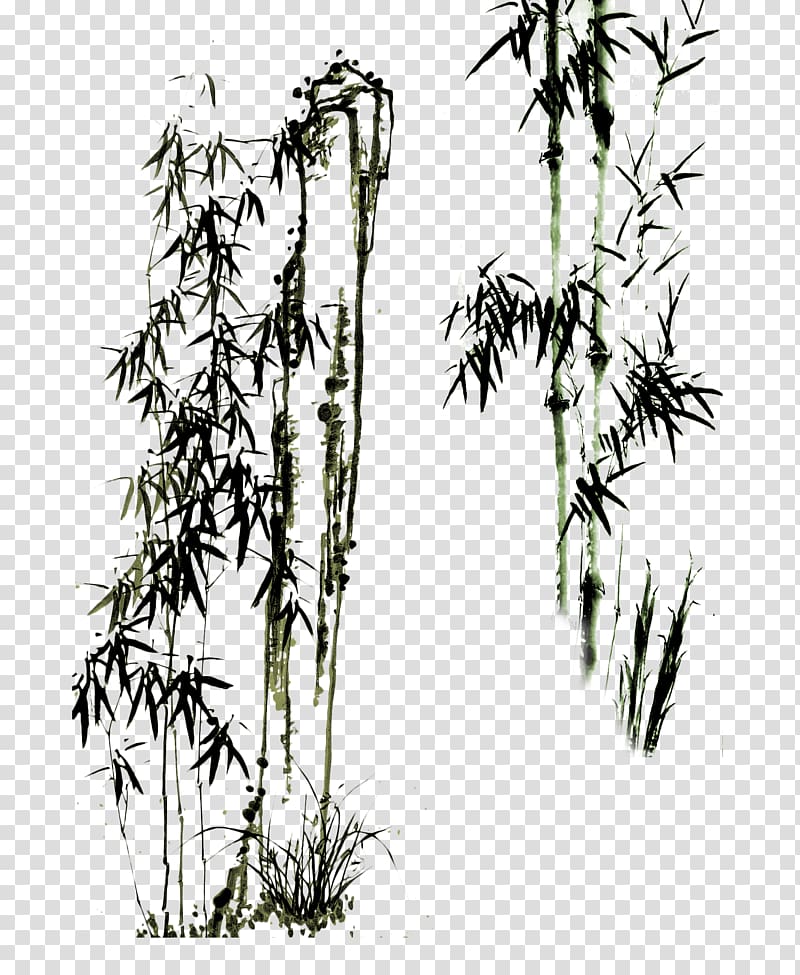 bamboo trees illustration, Paper Drawing Bamboo Chinese painting Eight Eccentrics of Yangzhou, Chinese ink drawing of bamboo wind transparent background PNG clipart