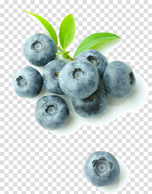 Blueberry Food Refrigerator Bilberry Wine cooler, blueberry transparent background PNG clipart