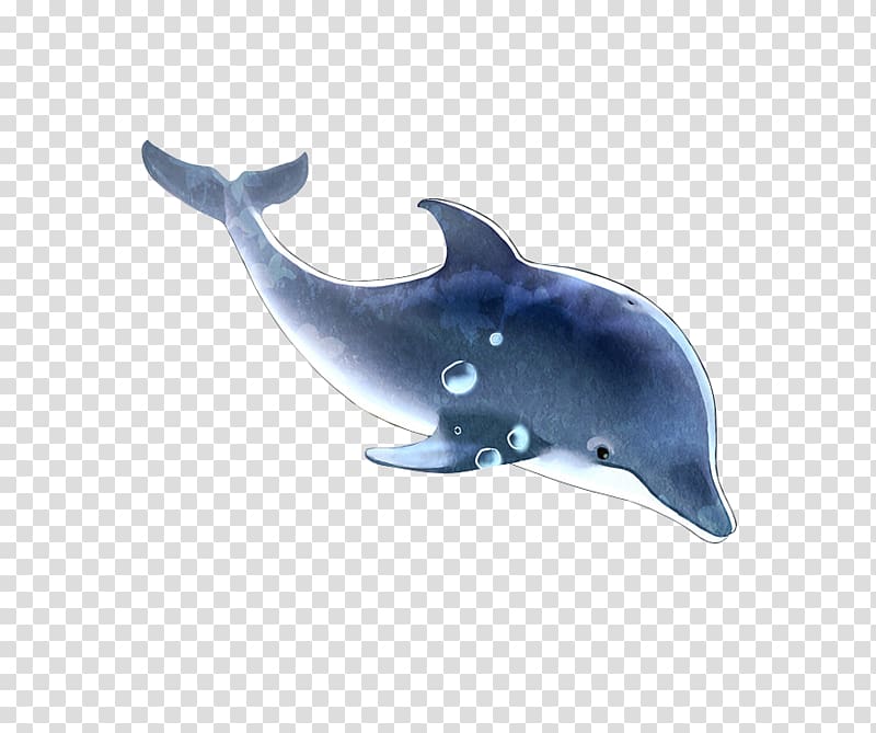 Common bottlenose dolphin Tucuxi Rough-toothed dolphin Porpoise, Blue Dolphin Dream transparent background PNG clipart