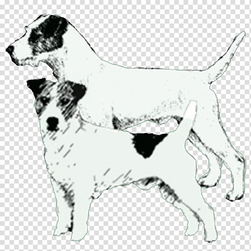 Dog breed English Foxhound Companion dog, Jack Russell transparent background PNG clipart