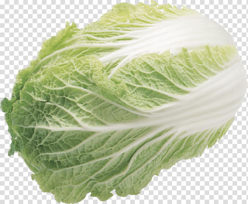 Chinese cabbage Napa cabbage Vegetable Lettuce Choy sum, vegetable transparent background PNG clipart
