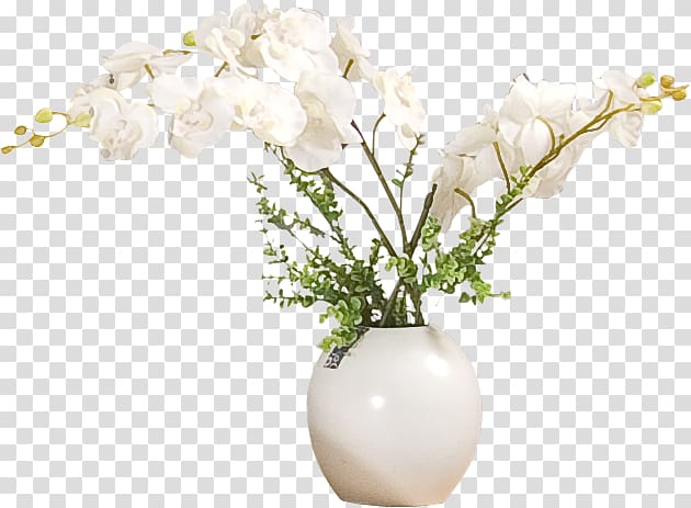white moth orchid on vase , Vase Flower, vase transparent background PNG clipart