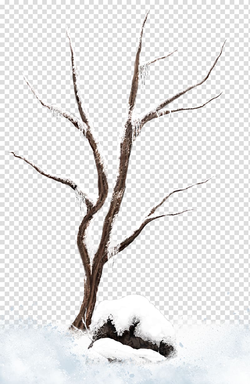 bare tree covered with snow, Tree Branch Snow , Brown Winter Snowy Tree transparent background PNG clipart