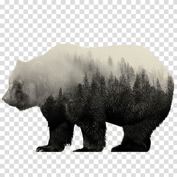 Norway Visual arts Multiple exposure Portrait Canvas print, Snowy forest bear transparent background PNG clipart