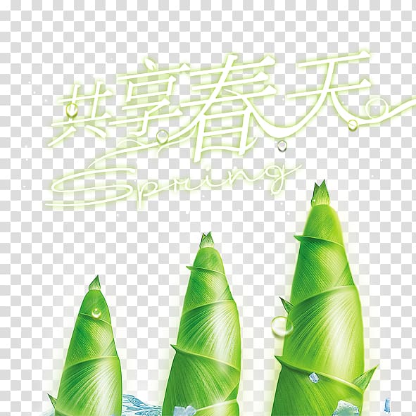 Bamboo shoot, Share Spring transparent background PNG clipart