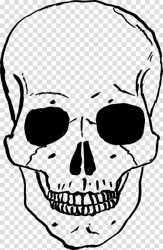 Skull , Pirates transparent background PNG clipart