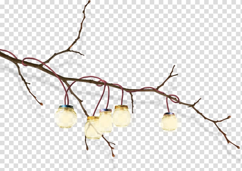 Twig Plant stem Organ Tree Branching, champignon transparent background PNG clipart