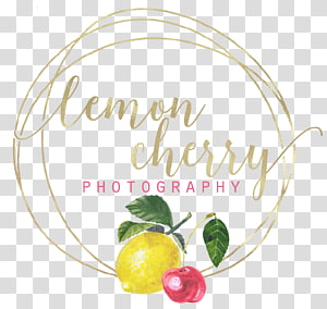 Floral design Flower Font, design transparent background PNG clipart thumbnail
