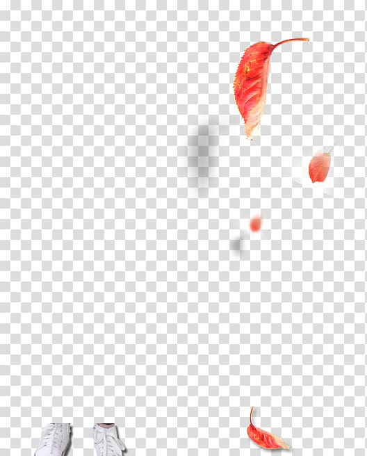 red leaf illustration, Red Maple leaf, Maple Leaf transparent background PNG clipart